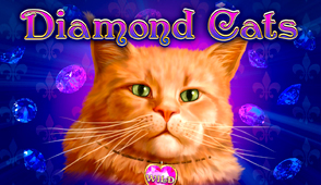 Diamond Cats